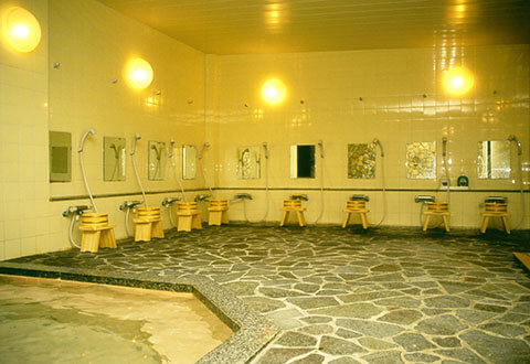 白樺湖ロイヤルホテル(イメージ)